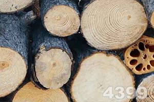 竞彩足球模拟投注下载